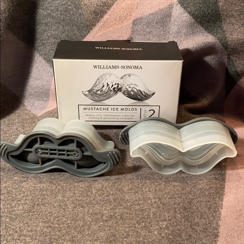 Williams Sonoma Mustache Ice Mold